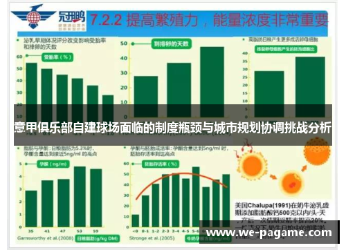 意甲俱乐部自建球场面临的制度瓶颈与城市规划协调挑战分析 意甲俱乐部自建球场面临的制度瓶颈与城市规划协调挑战分析