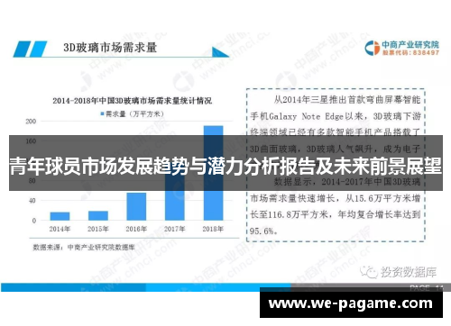 青年球员市场发展趋势与潜力分析报告及未来前景展望 青年球员市场发展趋势与潜力分析报告及未来前景展望
